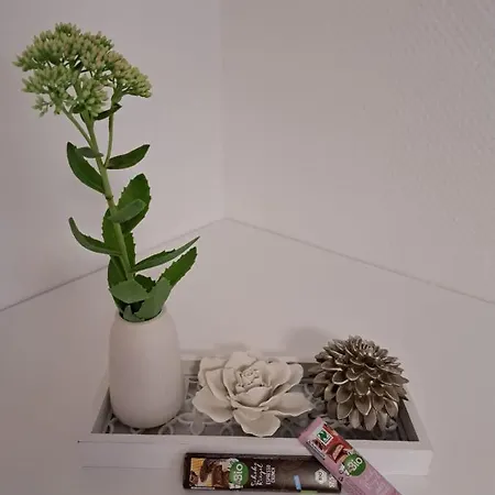 Q Im Zentrum Von Monteurzimmer Apartmán Königsbronn