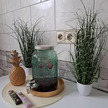 Q Im Zentrum Von Monteurzimmer Apartmán